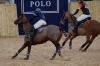 Oxford Polo 2023_01_08 0021
